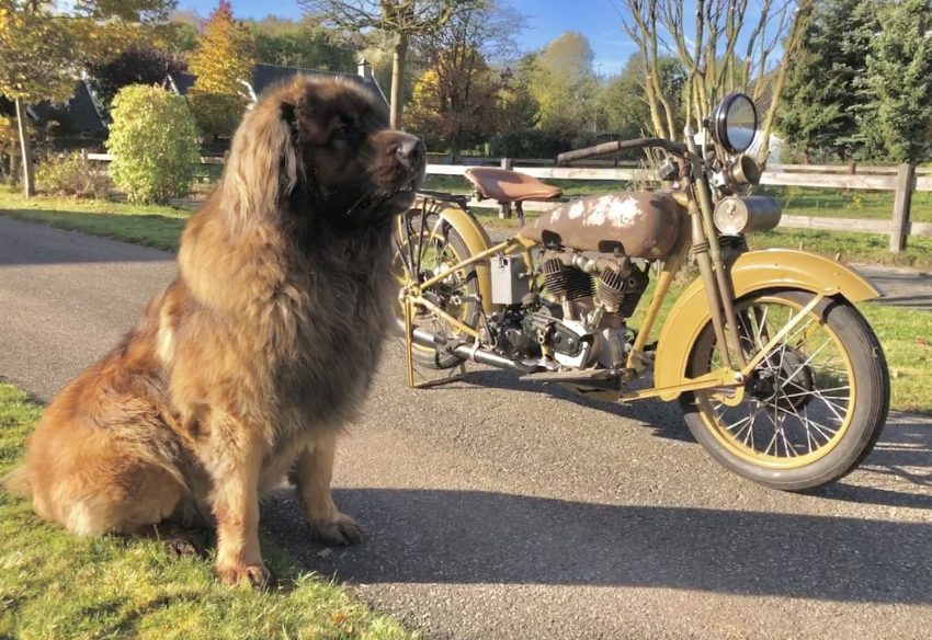 Harley Davidson 1925 JD